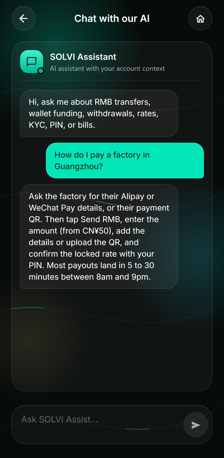 SOLVI Assistant chat