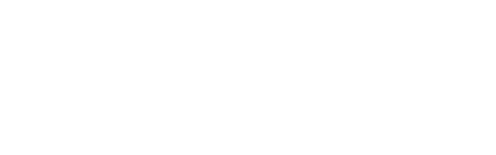 SOLVI